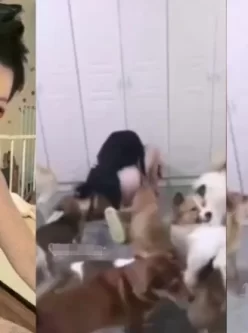 人狗情未了：主播和它的狗狗们内射交配大秀 [15:21]