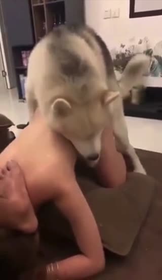 下贱女友被大公狗操，头被主人踩在脚底不停求饶 [00:32]